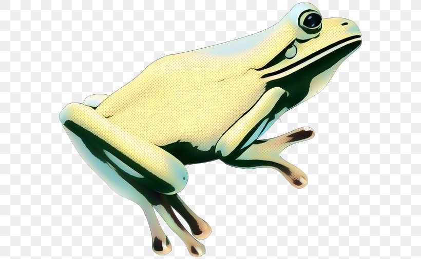Tree Frog True Frog Product Design Technology, PNG, 600x505px, Tree Frog, Amphibian, Frog, Poison Dart Frog, Technology Download Free