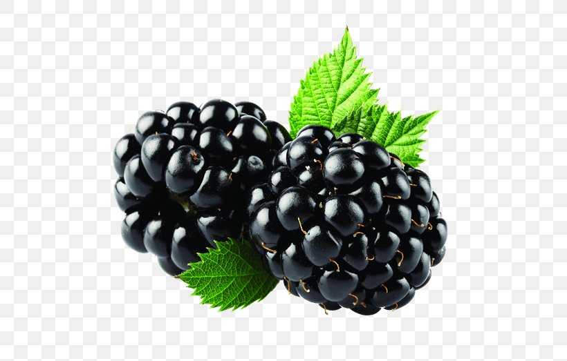 Blackberry Mobile Phones Clip Art, PNG, 600x523px, Blackberry, Amora, Berry, Bilberry, Blackberry 10 Download Free