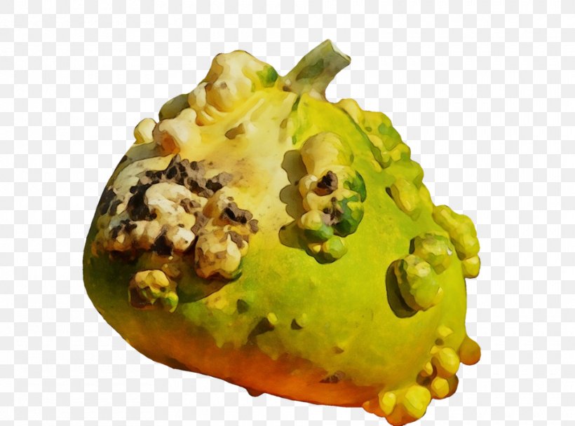 Food Dish Cuisine Plant Horned Melon, PNG, 960x712px, Watercolor, Cuisine, Dish, Food, Horned Melon Download Free