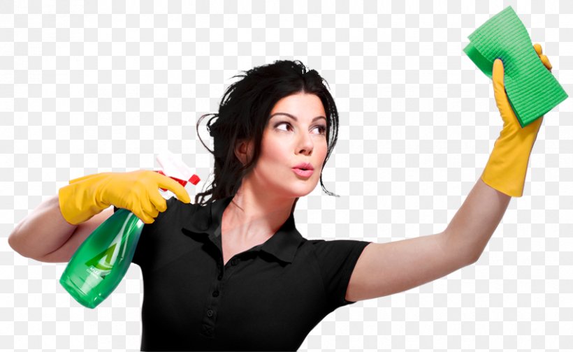 Maid Service Cleaner Cleaning Lady #1, PNG, 850x523px, Maid Service, Arm, Carpet Cleaning, Cleaner, Cleaning Download Free