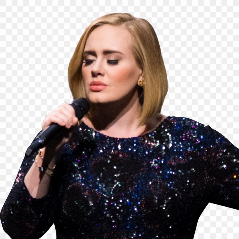 Adele Musician Grammy Award Singer-songwriter, PNG, 1200x1200px, Watercolor, Cartoon, Flower, Frame, Heart Download Free