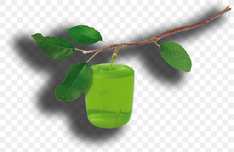 Gelatin Dessert Shooter United States, PNG, 800x533px, Gelatin Dessert, Animal Bite, Branch, Computer, Dessert Download Free