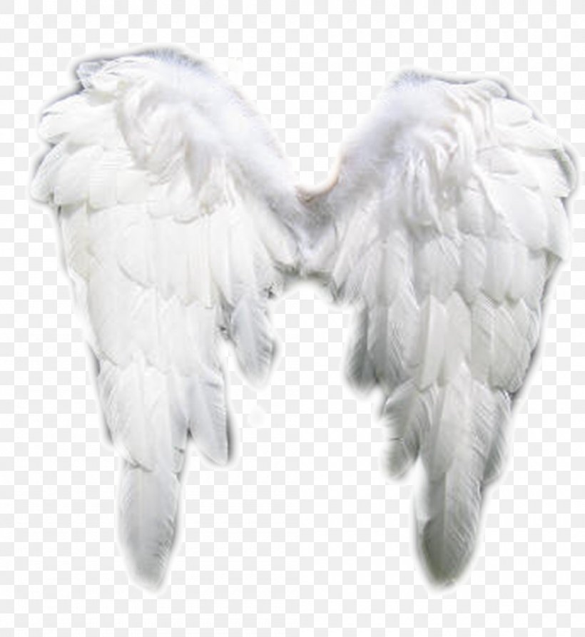 Angel Jackie Frith Intuitive Healing For Mind, Body And Soul Cherub Mediumship Heaven, PNG, 1000x1090px, Angel, Cherub, Feather, Fur, Guardian Angel Download Free