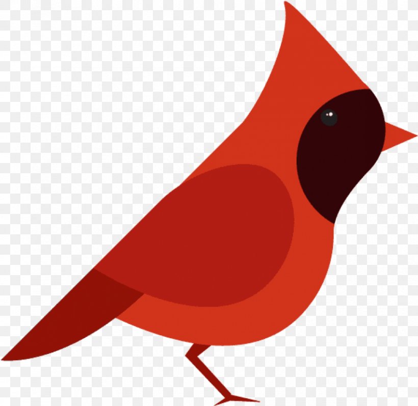 Cardinal Bird, PNG, 850x827px, Northern Cardinal, Beak, Bird, Cardinal, Drawing Download Free