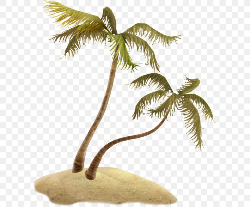 Cartoon Palm Tree, PNG, 600x680px, Coconut, Arecales, Branch, Cartoon, Garden Download Free