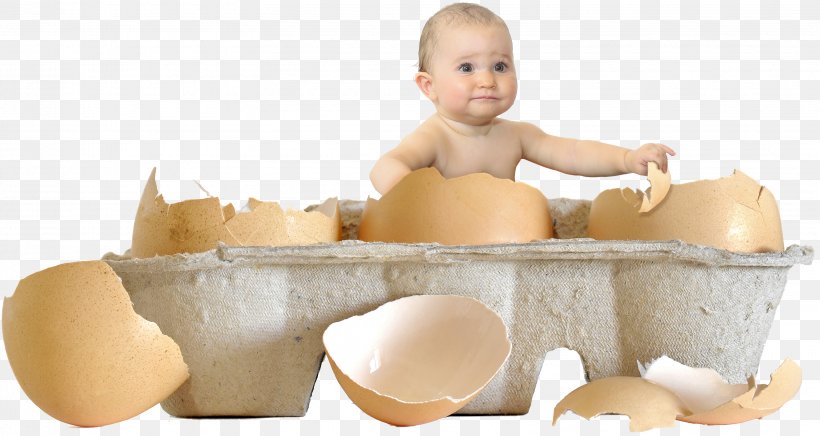 Child Chicken Egg Chicken Egg Infant, PNG, 3218x1714px, Child, Birth, Chicken, Chicken Egg, Child Care Download Free