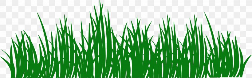 Sticker Grass Lawn Wall Decal Paper, PNG, 3583x1114px, Sticker, Adhesive, Artificial Turf, Chrysopogon Zizanioides, Commodity Download Free