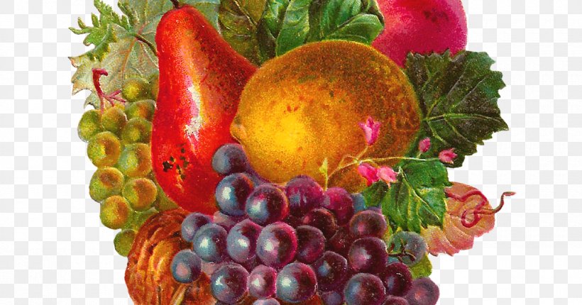 Common Grape Vine Fruit Vintage Clothing Apple Clip Art, PNG, 1200x630px, Common Grape Vine, Antique, Apple, Diet Food, Food Download Free