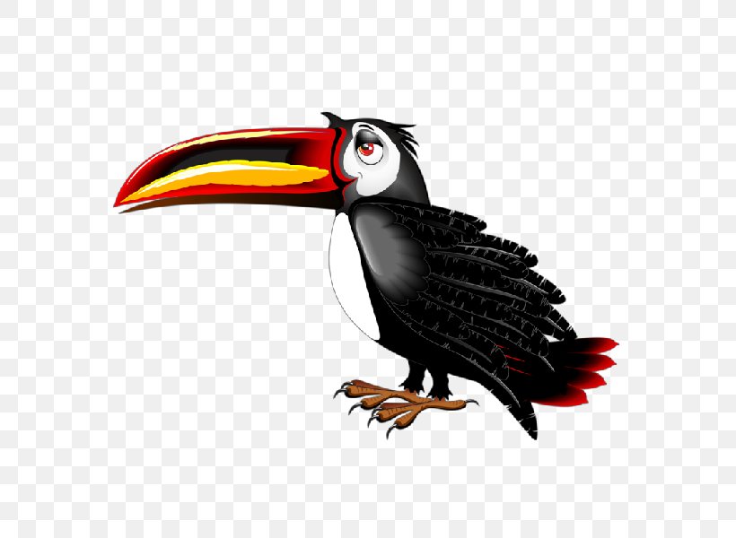 Bird Toucan Cartoon Clip Art, PNG, 600x600px, Bird, Animal, Beak, Bird Of Prey, Cartoon Download Free