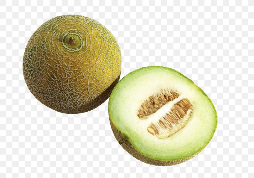 Honeydew Cantaloupe Canary Melon Hami Melon Galia Melon, PNG, 1024x720px, Honeydew, Canary Melon, Cantaloupe, Cucumber Gourd And Melon Family, Cucumis Download Free