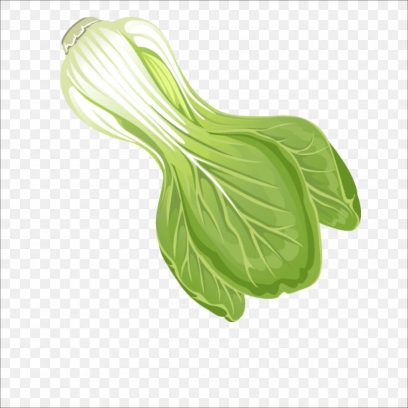 Leaf Vegetable Chinese Cabbage, PNG, 1773x1773px, Leaf Vegetable, Brassica, Cabbage, Chinese Cabbage, Grass Download Free
