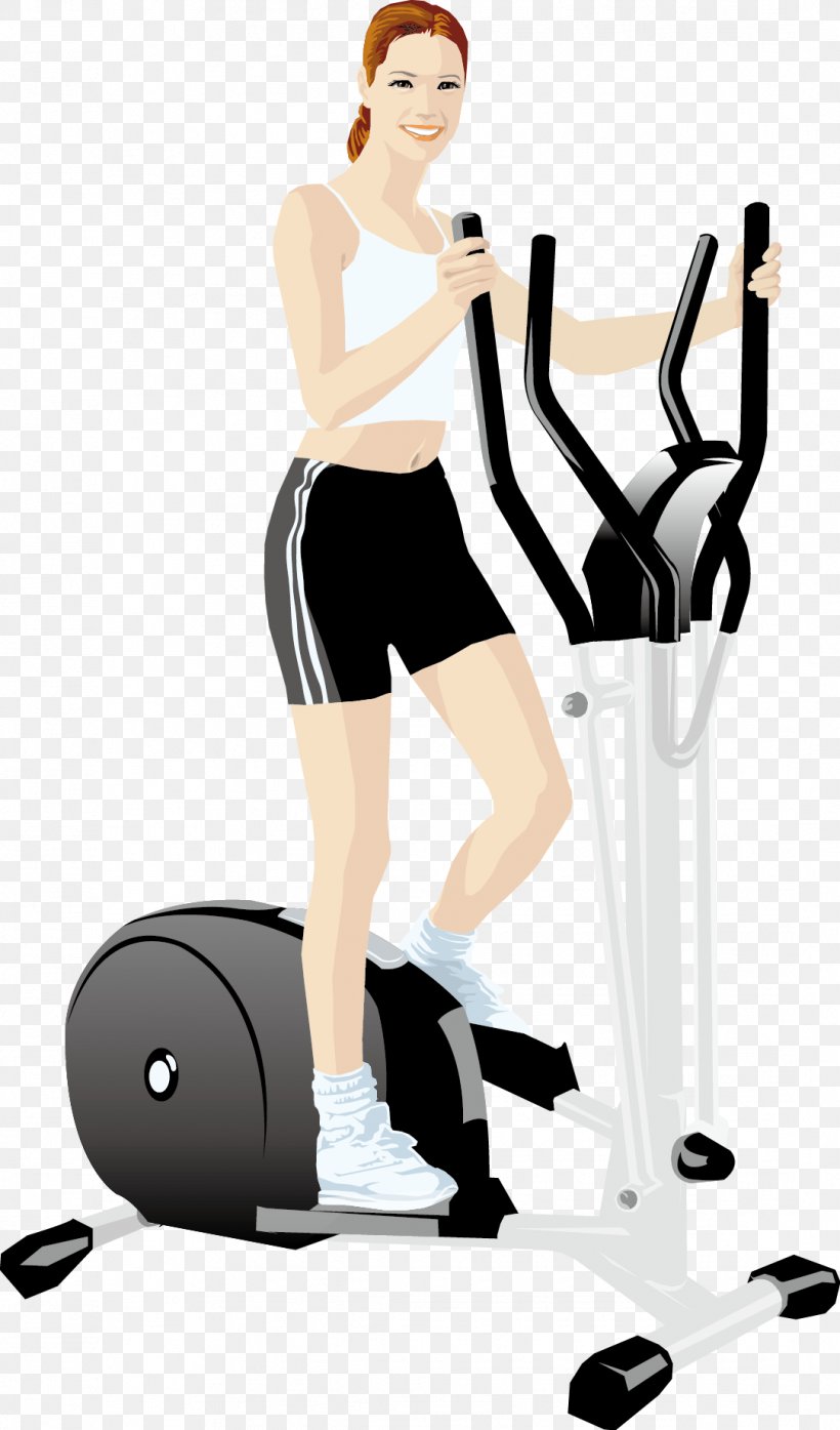 Physical Fitness Treadmill Exercise Ball, PNG, 1083x1843px, Physical Fitness, Aerobic Exercise, Aerobics, Arm, Beauty Download Free
