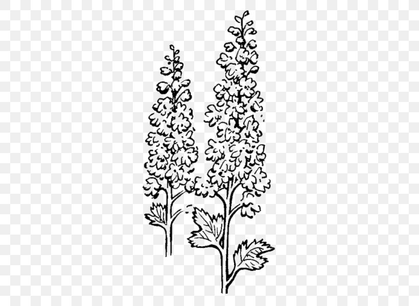 Twig Floral Design Cut Flowers Plant Stem Leaf, PNG, 600x600px, Twig, Art, Black And White, Branch, Christmas Tree Download Free