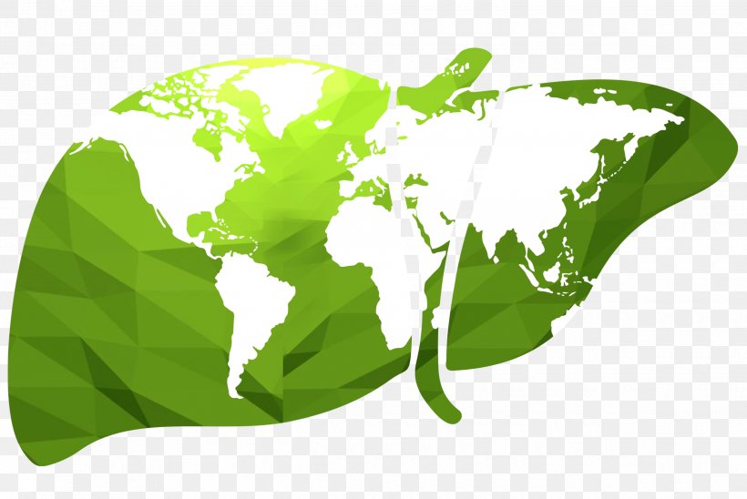 World Map Globe Vector Graphics, PNG, 2480x1659px, World, Art, Globe, Grass, Green Download Free