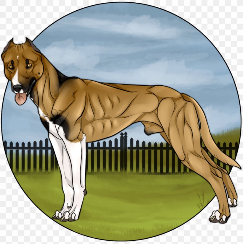 Dog Breed Cartoon, PNG, 890x897px, Dog Breed, Breed, Carnivoran, Cartoon, Dog Download Free