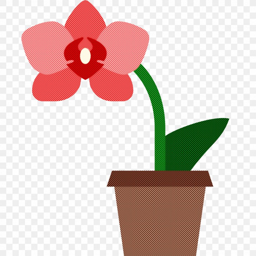 Flowerpot Flower Plant Houseplant Petal, PNG, 1600x1600px, Flowerpot, Amaryllis Belladonna, Flower, Houseplant, Moth Orchid Download Free