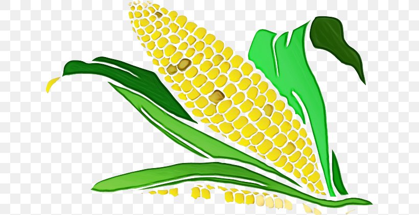 Green Corn Yellow Leaf Plant, PNG, 640x422px, Watercolor, Corn, Green, Leaf, Paint Download Free