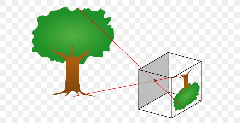 Pinhole Camera Model Photography, PNG, 615x420px, Pinhole Camera, Alhazen, Camera, Camera Lens, Diagram Download Free