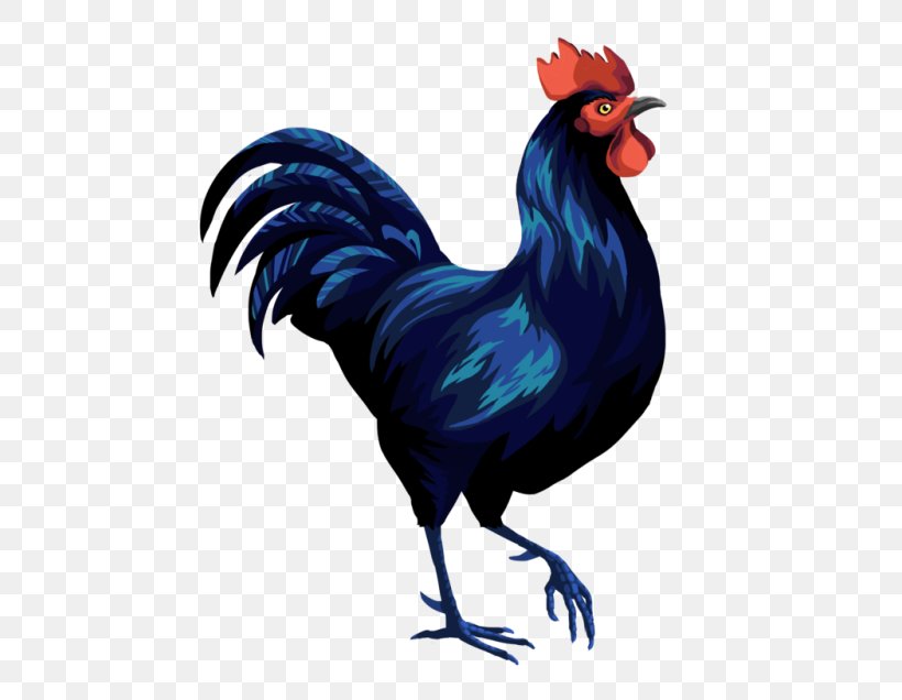 Rooster Beak Bird Brahma Chicken Silkie, PNG, 500x636px, Rooster, Animal, Beak, Bird, Bird Egg Download Free