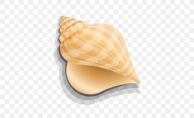 Seashell Computer Graphics, PNG, 500x500px, Seashell, Artworks, Computer Graphics, Conch, Conchology Download Free