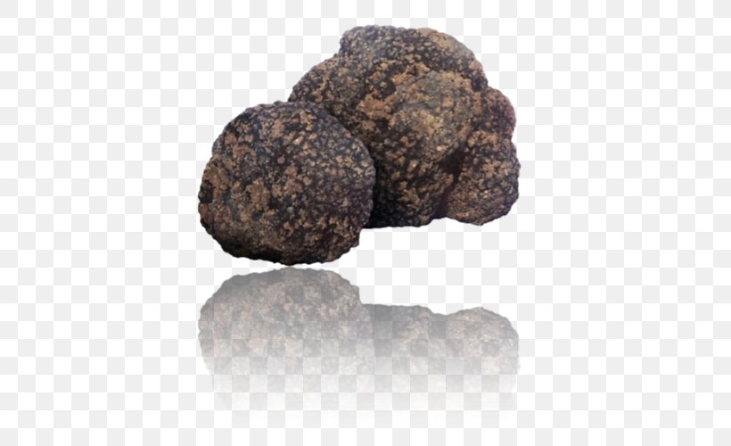 Alba Tuber Aestivum Périgord Black Truffle Piedmont White Truffle, PNG, 500x500px, Alba, Ingredient, Mushroom, Piedmont White Truffle, Rock Download Free