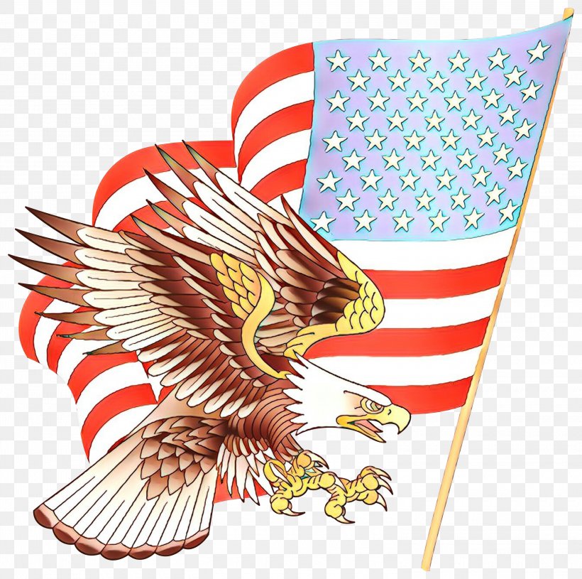 Bald Eagle Flag Of The United States Clip Art, PNG, 3000x2982px, Bald Eagle, Accipitridae, Accipitriformes, American Eagle Foundation, American Eagle Outfitters Download Free