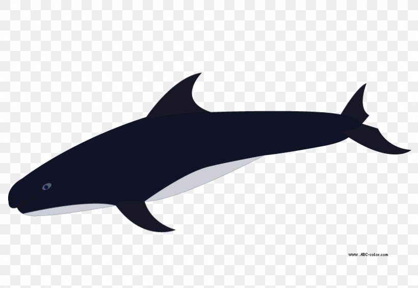 Porpoise Rough-toothed Dolphin Common Bottlenose Dolphin Killer Whale Clip Art, PNG, 822x567px, Porpoise, Cetacea, Common Bottlenose Dolphin, Dolphin, Drawing Download Free
