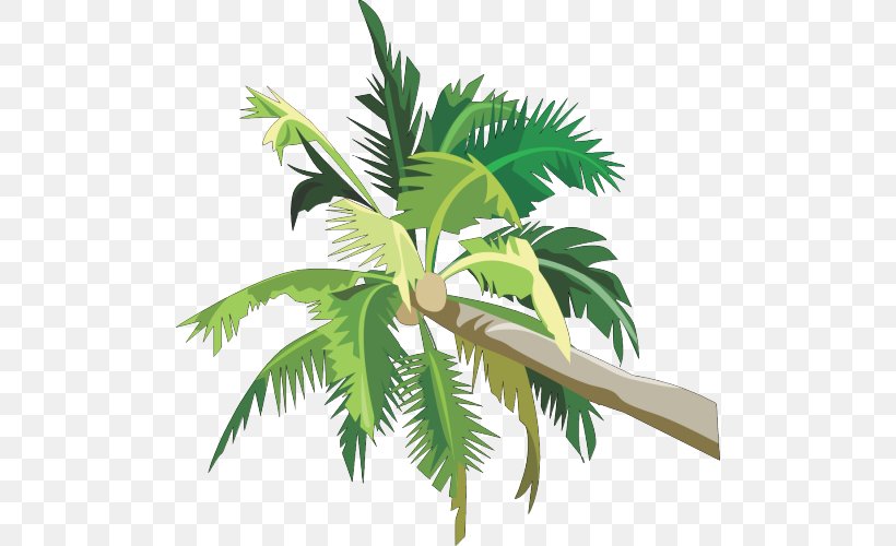 Asian Palmyra Palm Palm Trees Coconut Clip Art Image, PNG, 500x500px, Asian Palmyra Palm, Arecales, Borassus Flabellifer, Coconut, Flowerpot Download Free