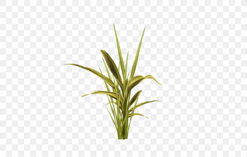 Easter Egg Grass, PNG, 600x521px, Easter, Commodity, Easter Egg, Grass, Grass Family Download Free