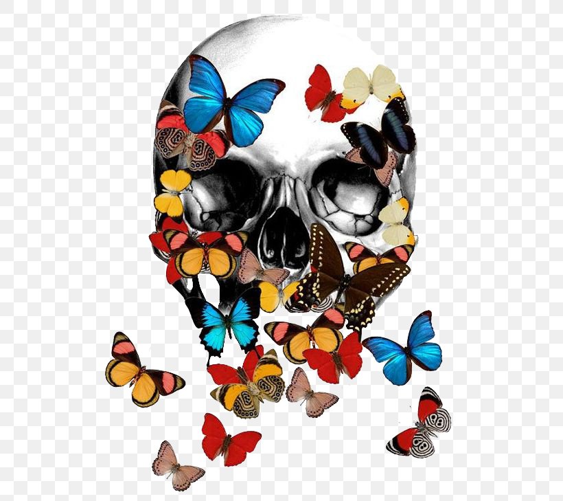 T-shirt Calavera Skull Bone Skeleton, PNG, 564x729px, Tshirt, Art, Bone, Butterflies And Moths, Butterfly Download Free