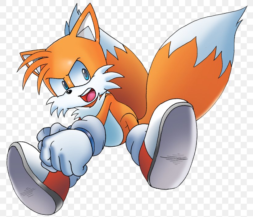 Tails Cat Ariciul Sonic Mario & Sonic At The Olympic Games Sonic The Hedgehog, PNG, 800x703px, Watercolor, Cartoon, Flower, Frame, Heart Download Free