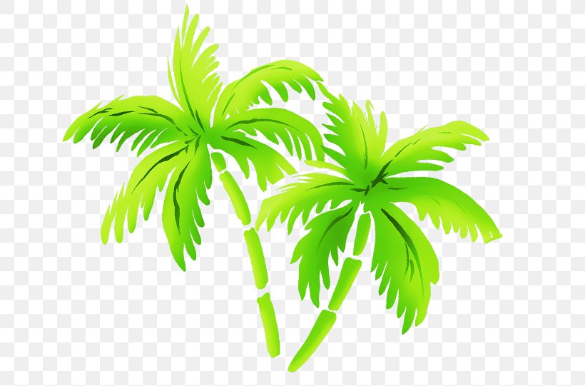 Arecaceae Clip Art, PNG, 650x541px, Arecaceae, Animaatio, Arecales, Blog, Coconut Download Free