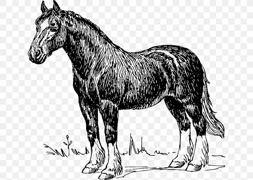 Clydesdale Horse Tennessee Walking Horse Shire Horse Draft Horse Clip Art, PNG, 640x585px, Clydesdale Horse, Black, Black And White, Carriage, Donkey Download Free