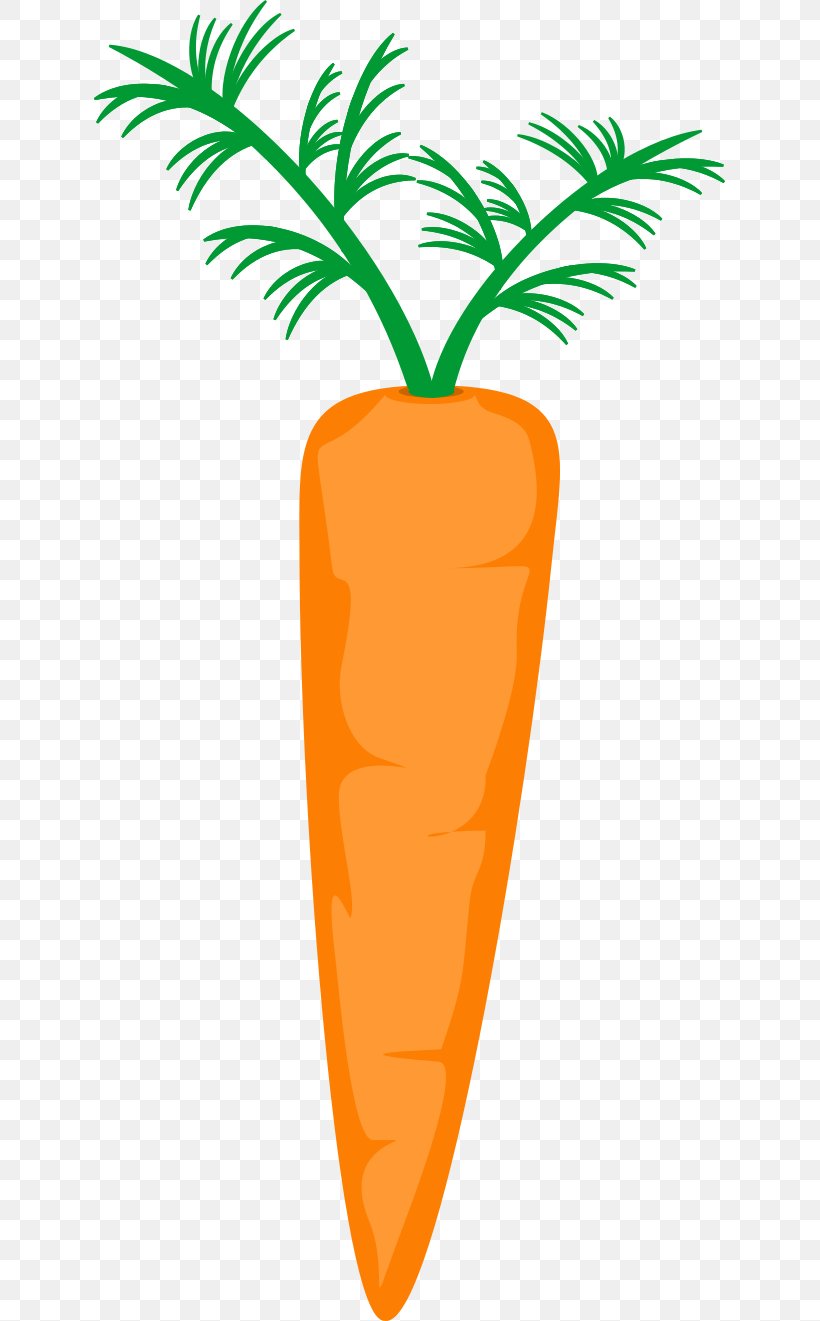 Flower Carrot Clip Art, PNG, 631x1321px, Flower, Carrot, Dots Per Inch, Flowerpot, Food Download Free