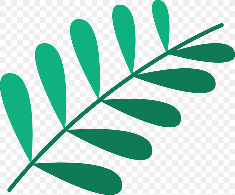 Leaf Plant Stem Green M-tree Line, PNG, 3160x2630px, Leaf, Biology, Green, Line, Meter Download Free