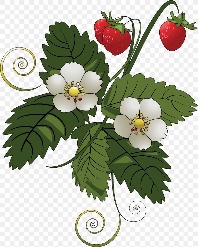 Strawberry Pie Fruit Clip Art, PNG, 1350x1687px, Strawberry Pie, Berry, Branch, Floral Design, Flower Download Free