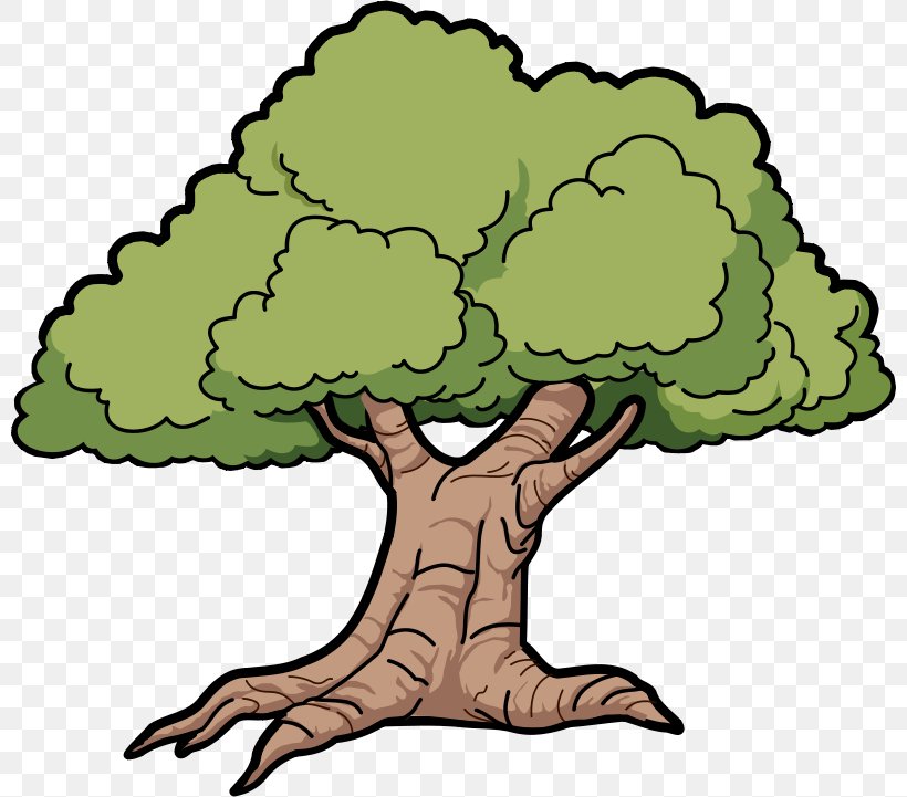 Tree Cartoon Drawing Clip Art, PNG, 800x721px, Tree, Area, Artwork, Cartoon, Drawing Download Free