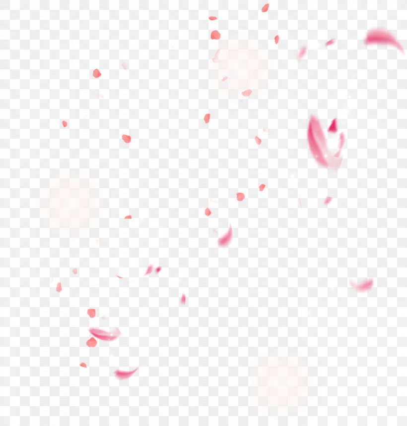 Cherry Blossom Petals Png : Download for full size, high res ...