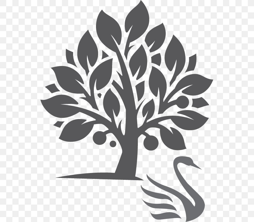 Fruit Tree Clip Art Structure & Function Of The Body Wax Seal Oak Tree/Tree Of Life Brass Handle Stamp, PNG, 559x716px, Tree, Bark, Blackandwhite, Botany, Branch Download Free