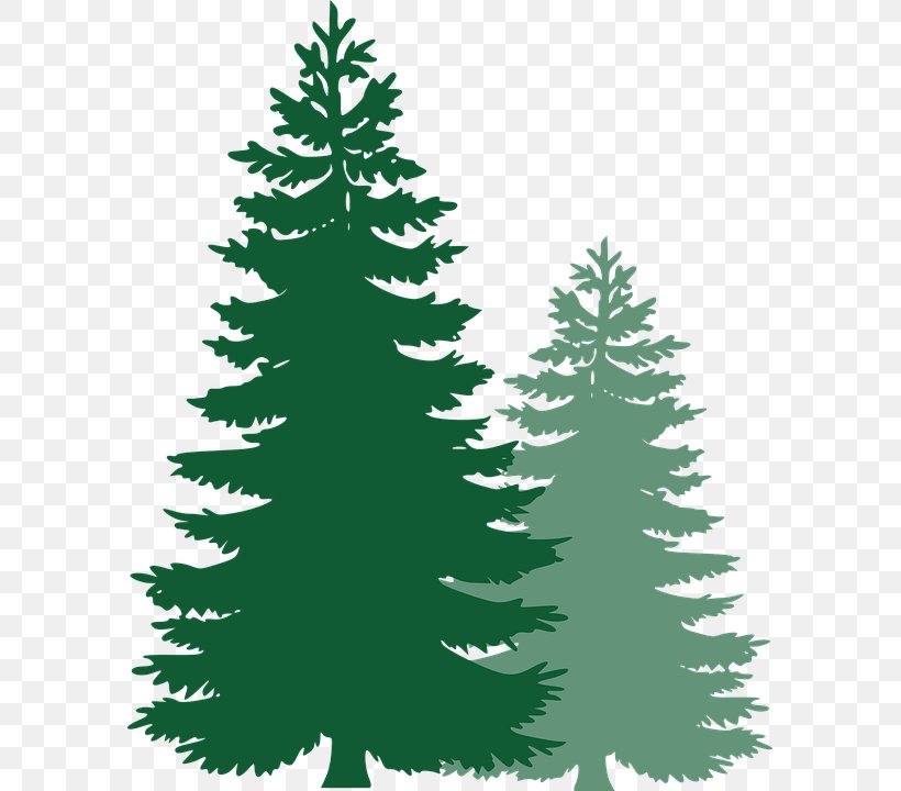 Tree Pine Clip Art, PNG, 587x720px, Tree, Black And White, Blog, Christmas Decoration, Christmas Ornament Download Free