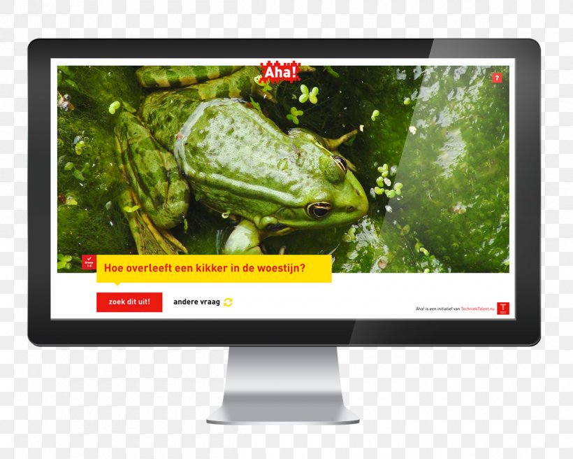 Amphibian Computer Monitors Display Advertising Multimedia, PNG, 1200x961px, Amphibian, Advertising, Computer Monitor, Computer Monitors, Display Advertising Download Free
