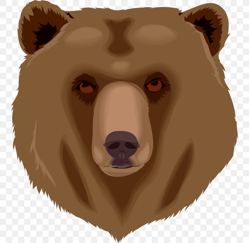 Grizzly Bear American Black Bear Alaska Peninsula Brown Bear Clip Art, PNG, 800x800px, Bear, Alaska Peninsula Brown Bear, American Black Bear, Brown Bear, Carnivoran Download Free