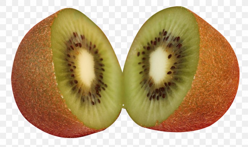 Kiwifruit, PNG, 1446x859px, Kiwifruit, Apple, Copyright, Enduser License Agreement, Food Download Free