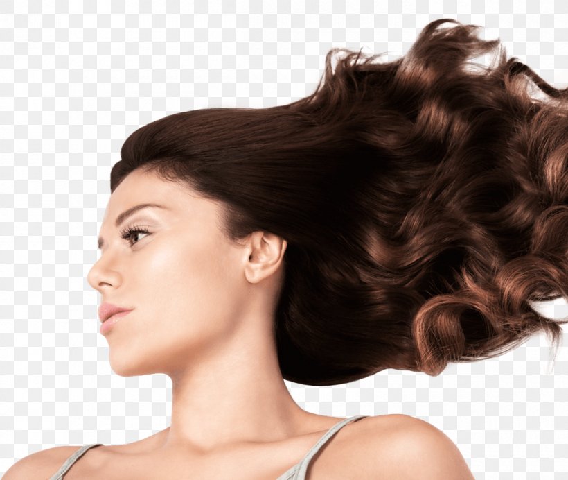Long Hair Hair Coloring Step Cutting Layered Hair, PNG, 1200x1013px, Long Hair, Argan Oil, Beauty, Black Hair, Brown Hair Download Free