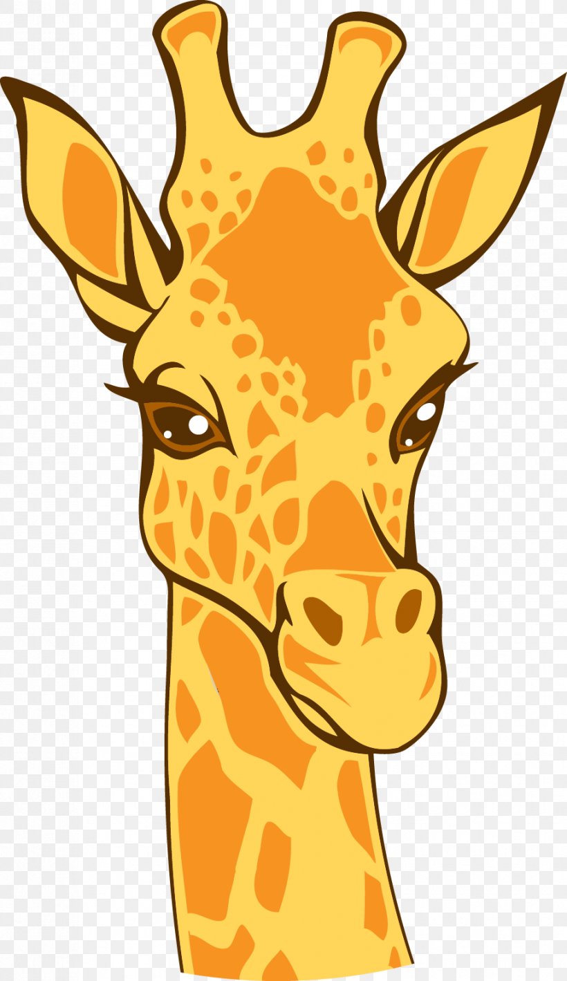 Northern Giraffe Lion Euclidean Vector Illustration, PNG, 917x1587px, Northern Giraffe, Animal, Calf, Cartoon, Doodle Download Free