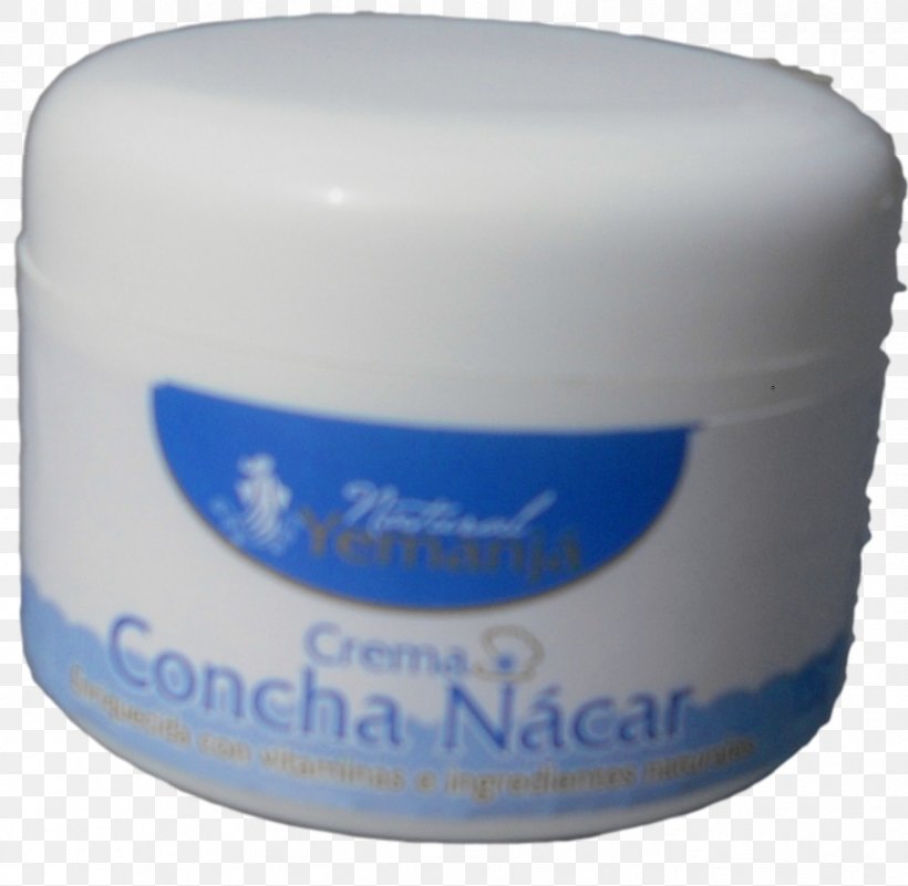 Seashell Nacre Cream Snail Rum Baba, PNG, 867x847px, Seashell, Blog, Cream, Form, Menu Download Free