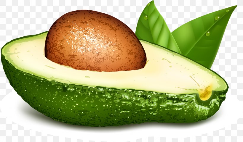 Avocado Papaya Euclidean Vector Food, PNG, 1869x1095px, Avocado, Diet Food, Drawing, Food, Fruit Download Free