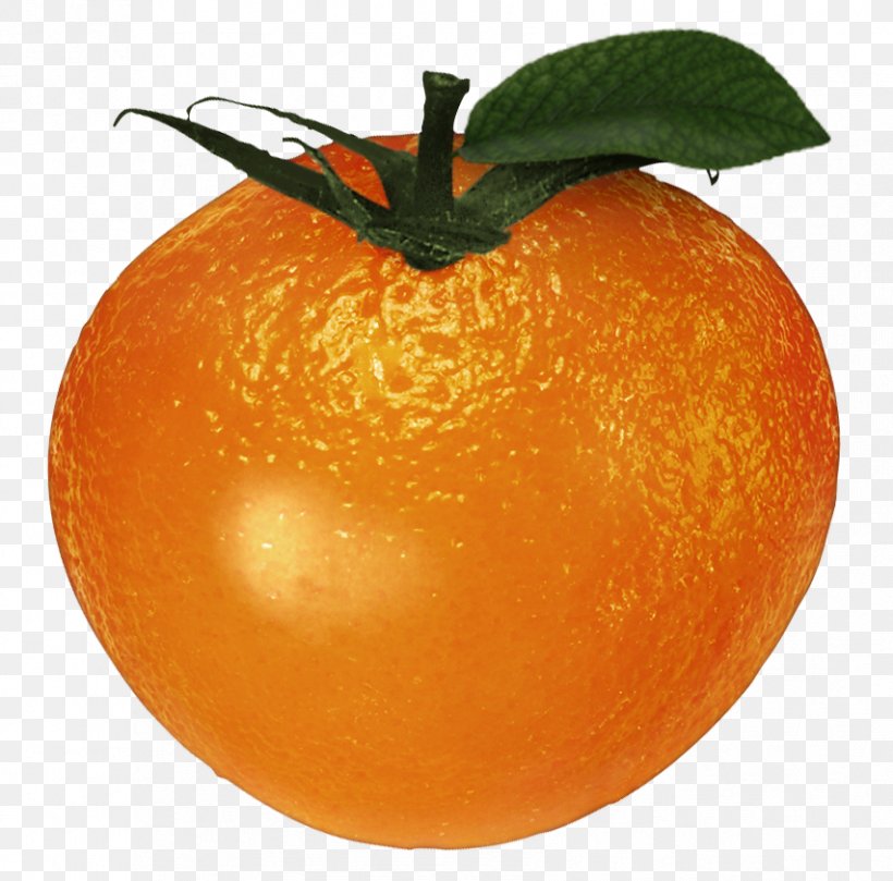 Clementine Tangerine Mandarin Orange Blood Orange Tangelo, PNG, 853x842px, Clementine, Bitter Orange, Blood, Blood Orange, Citrus Download Free