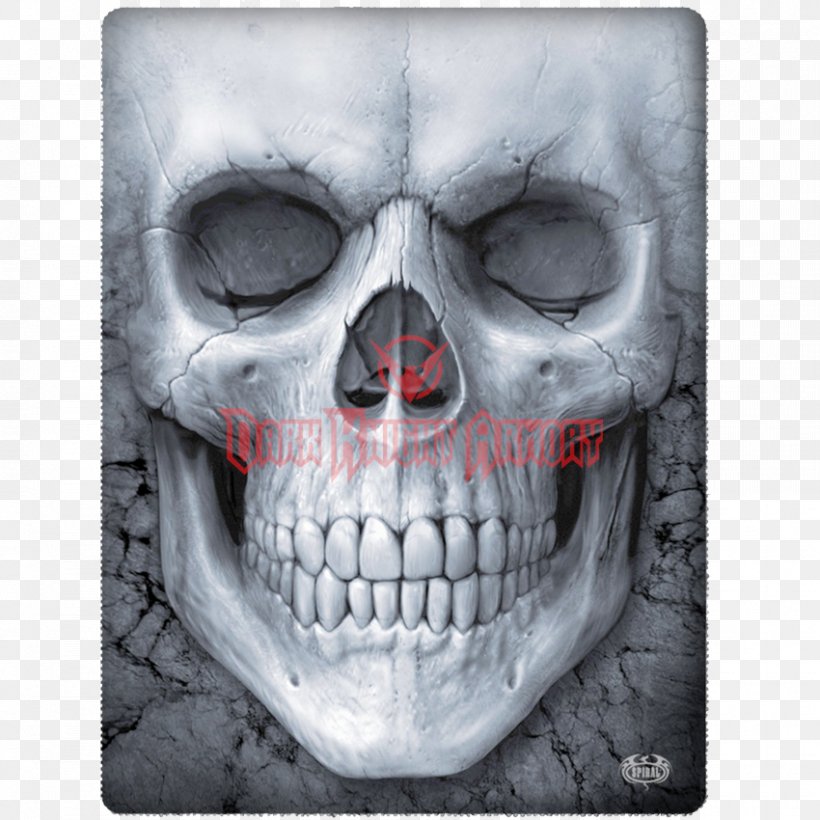 Long-sleeved T-shirt Skull Clothing, PNG, 850x850px, Tshirt, All Over Print, Bone, Clothing, Human Skeleton Download Free