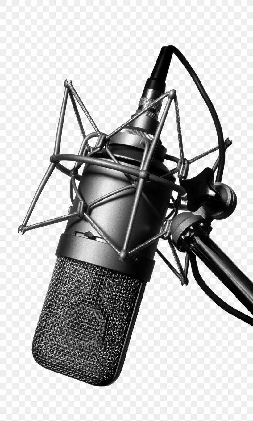 Microphone Recording Studio Stock Photography Sound Recording And Reproduction, PNG, 1154x1920px, Microphone, Audio Equipment, Electronic Device, Human Voice, Insect Download Free